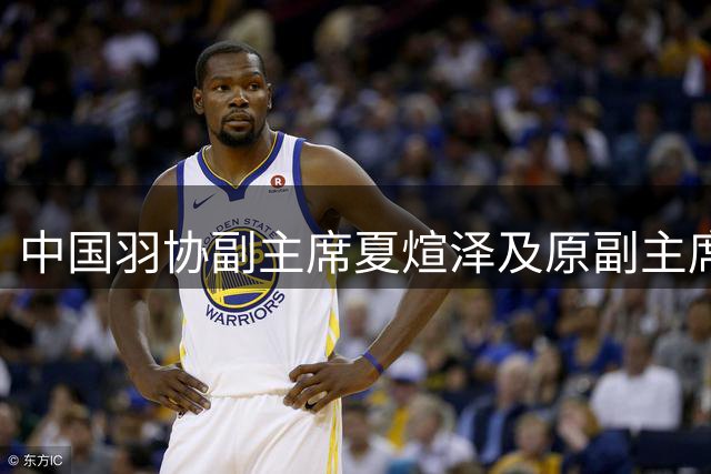 中国羽协副主席夏煊泽及原副主席王伟因严重违纪违法被立案调查