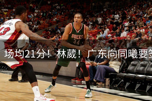 场均21分！林葳！广东向同曦要签约权